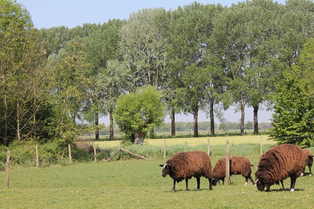 Willa Rest & Rust Werkhoven Zewnętrze zdjęcie